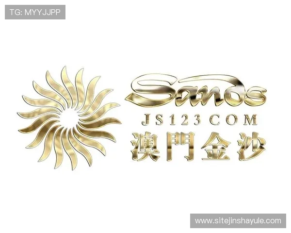 澳门金沙集团简介：公司治理、创新驱动及行业影响力的详细解读与未来规划