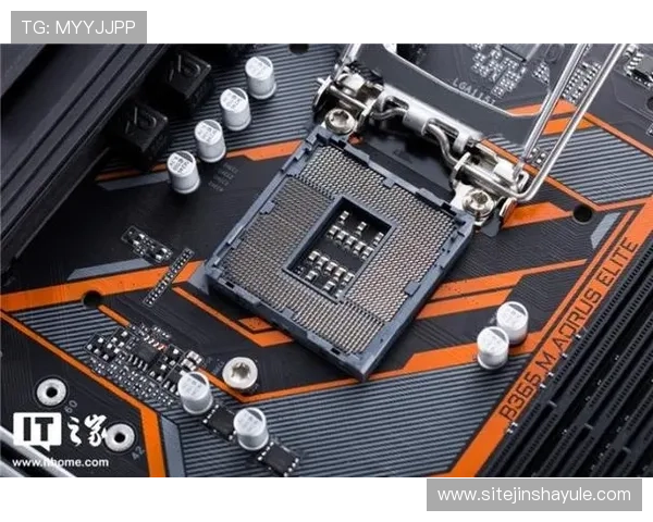 金沙手机版登录线路多样选择，满足不同玩家的稳定登录需求