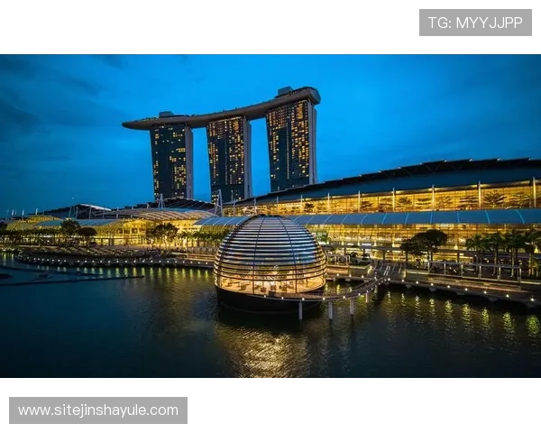 金沙娱乐娱乐官网入口最新动态，及时掌握官网更新信息确保顺利登录