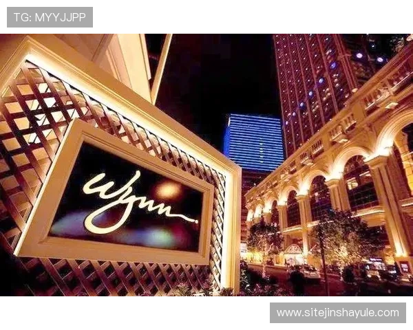 新濠博亚(澳门)股份有限公司在澳门博彩行业中的市场地位与竞争优势分析