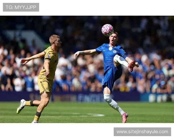水晶宫足球队队员官网如何帮助球迷追踪球员比赛表现与精彩瞬间