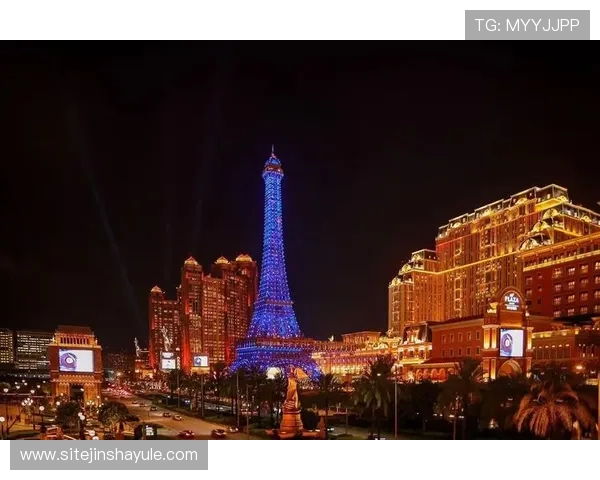 澳门巴黎人电子游戏平台多样化游戏类型介绍，满足不同玩家的娱乐需求