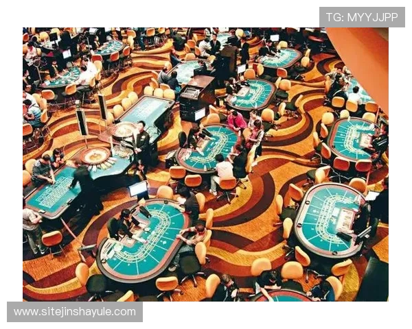 金沙澳门官方合作伙伴介绍,打造优质安全的线上博彩生态环境 金沙澳门官方合作伙伴介绍,打造优质安全的线上博彩生态环境